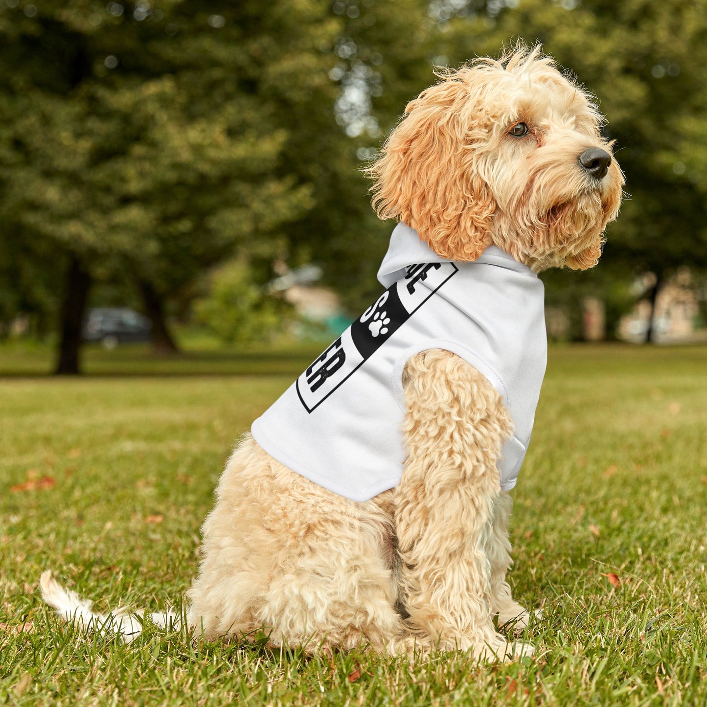 Rescue Dogs Matter Pet Hoodie